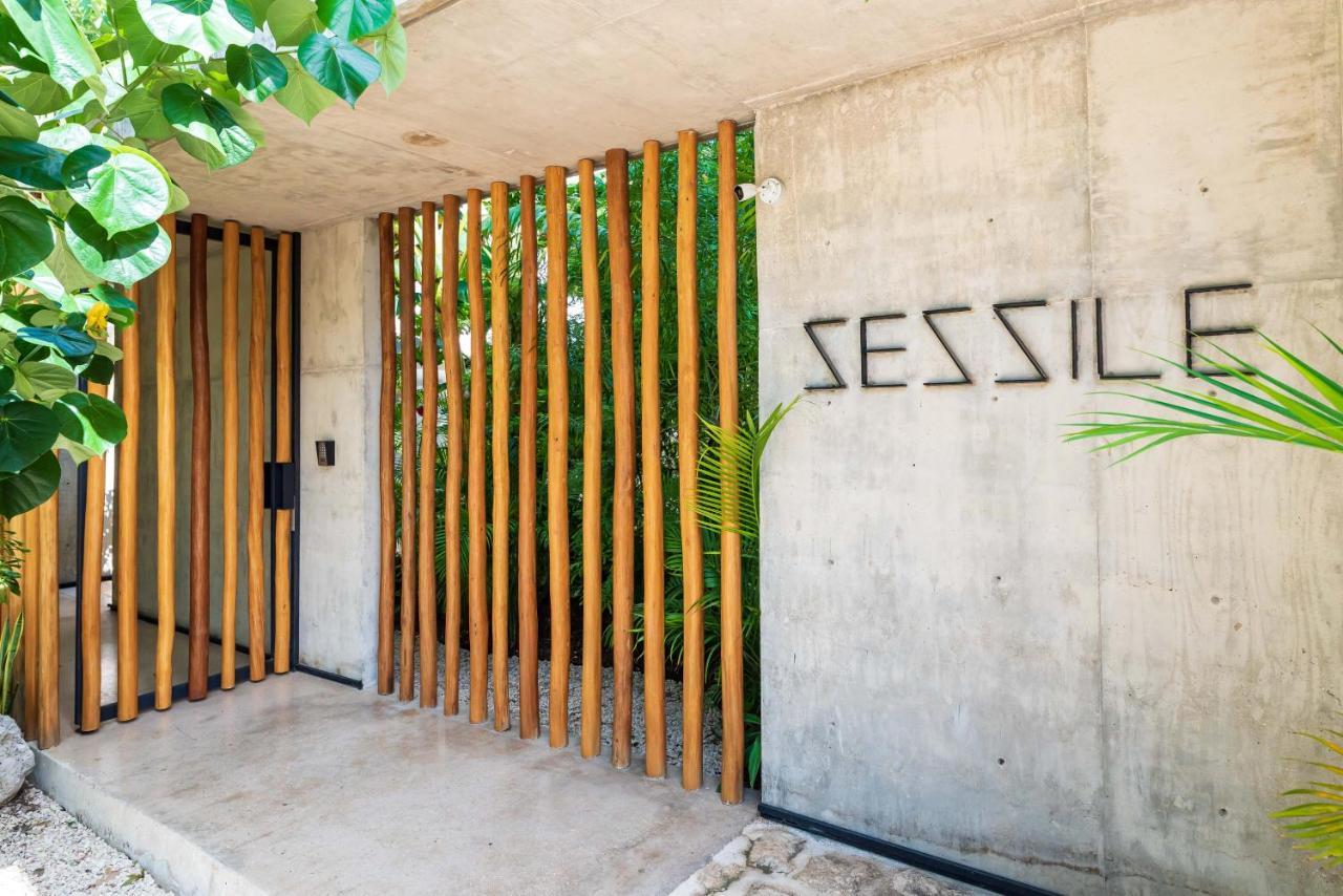 Luxury Apartament With Private Plunge Pool - Ground Floor Tulum Exteriör bild